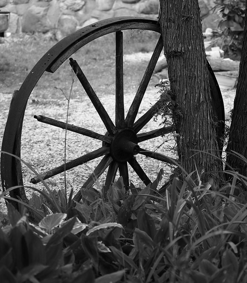 Nature Photograph - Wagon Wheel by Al Fritz