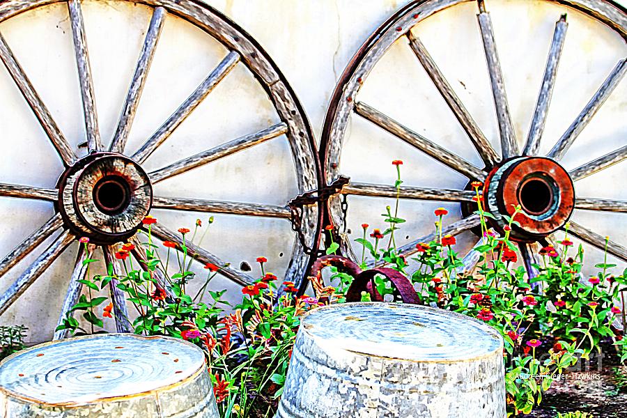 Flower Photograph - Wagon Wheel Flowers by Audreen Gieger