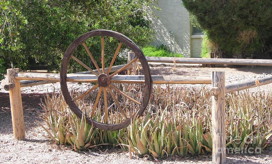 Flower Photograph - Wagon Wheel garden by Theresa Davis