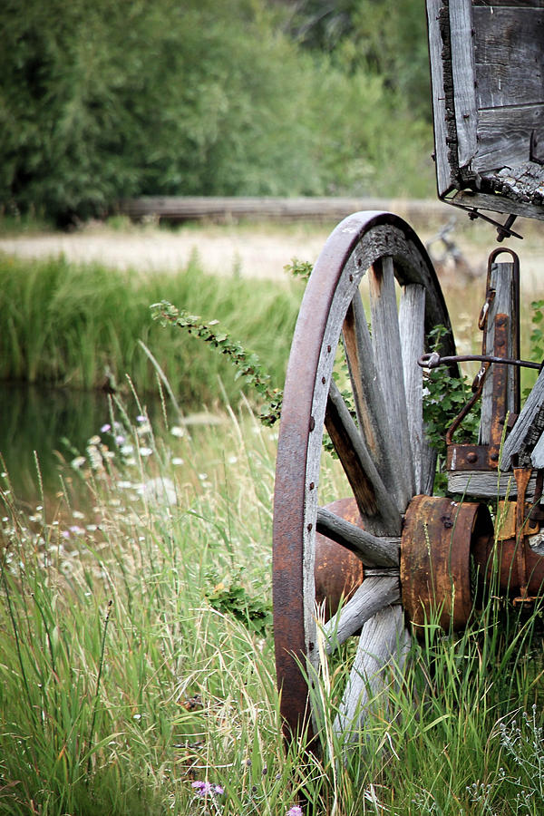 Wagon Wheel In Grass Photograph by Athena Mckinzie