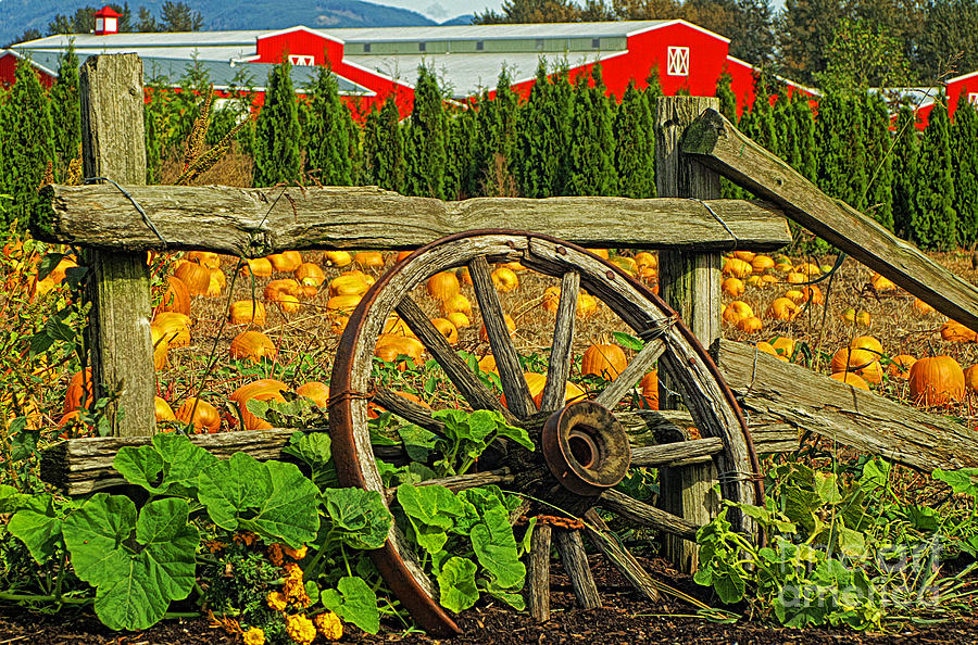 Wagon Wheel In The Pumpkin Patch Hdrsc1545-07 Photograph