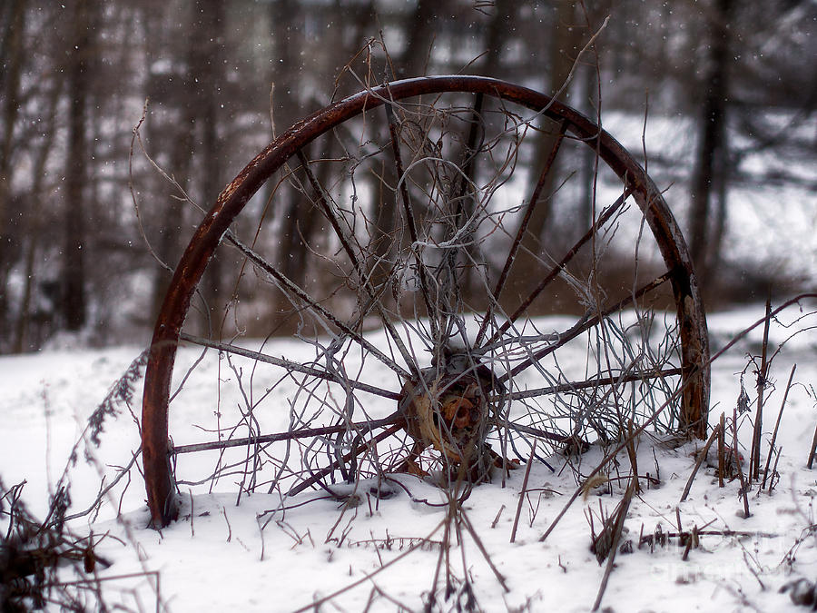 Wagon Wheel in Winter Photograph by Mark Miller
