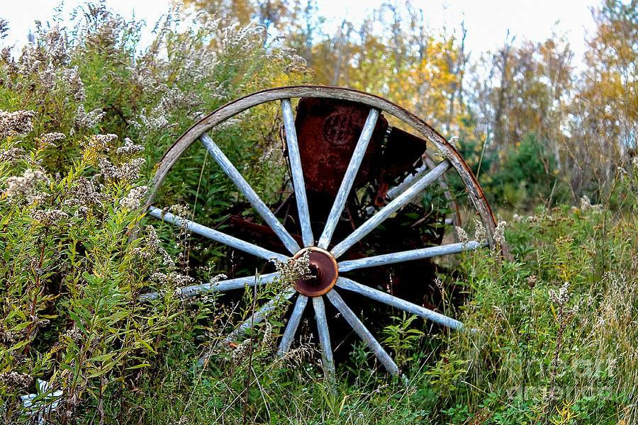 Wagon Wheel Photograph by Nikki Vig