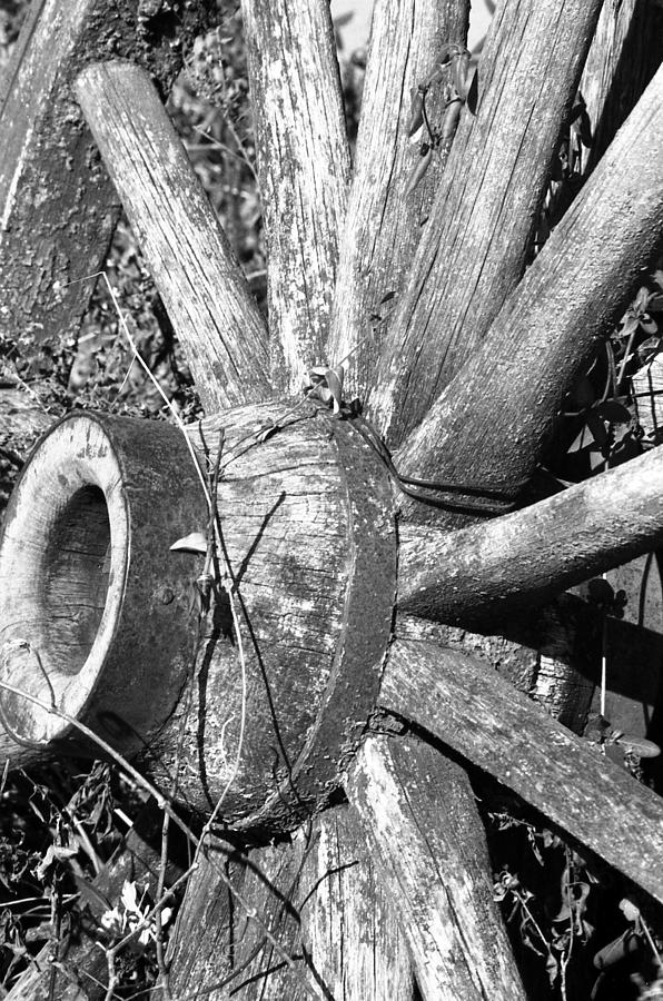 Wagon Wheel - No Where To Go - BW 03 Photograph by Pamela Critchlow
