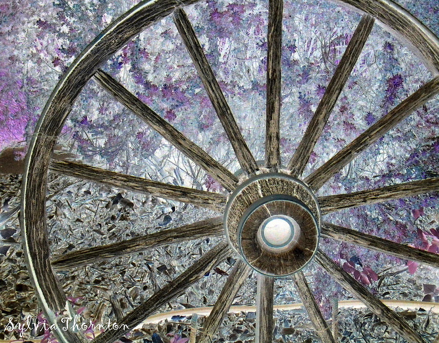 Wagon Wheel Study 1 Photograph by Sylvia Thornton