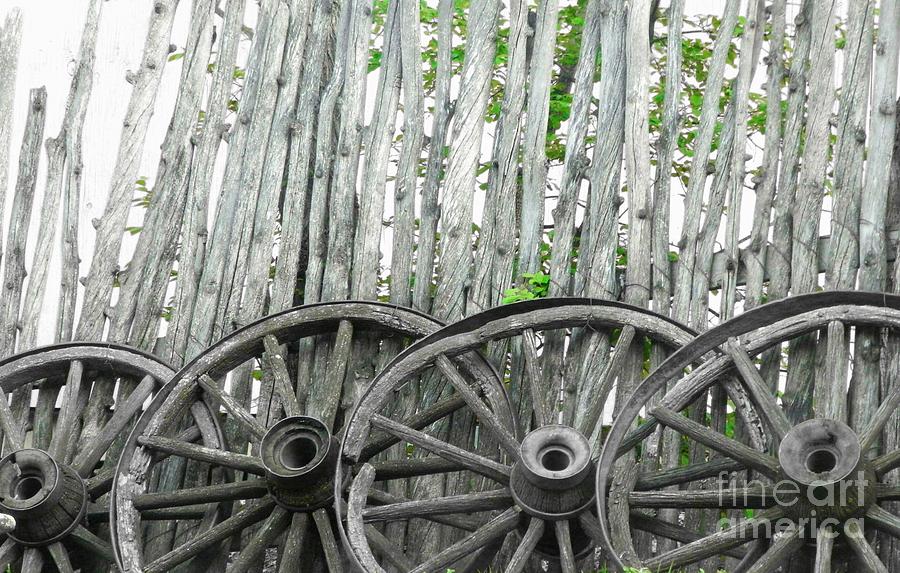 Wagon Wheels Photograph by Michelle Frizzell-Thompson