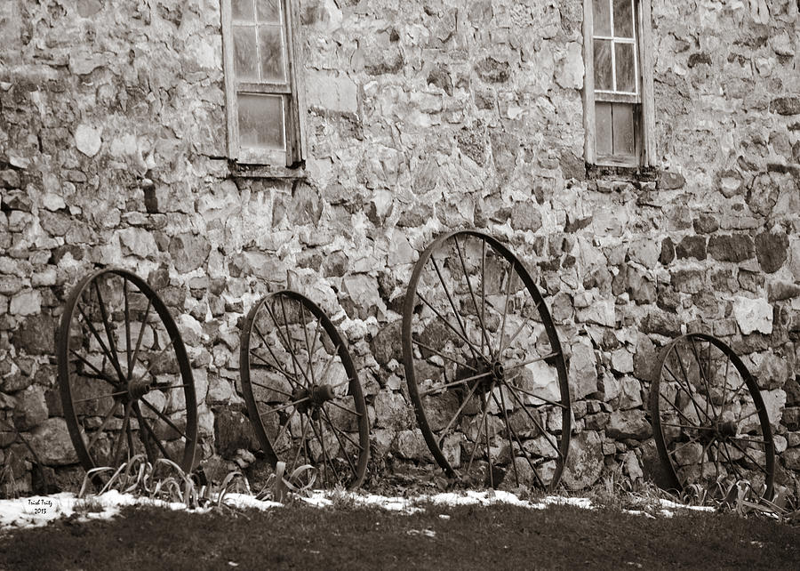 Wagon Wheels Photograph by Trish Tritz