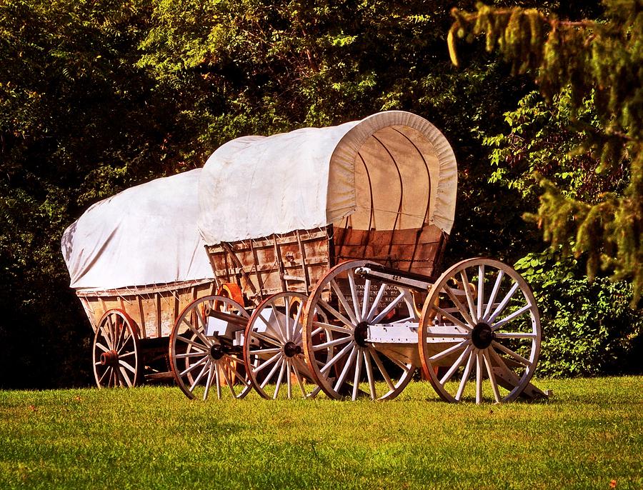 Wagons Ho Photograph by Marty Koch