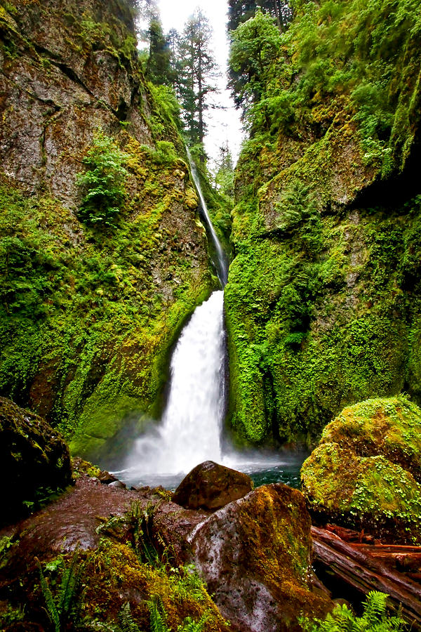 Wahclella Falls In Oregon Photograph by Athena Mckinzie