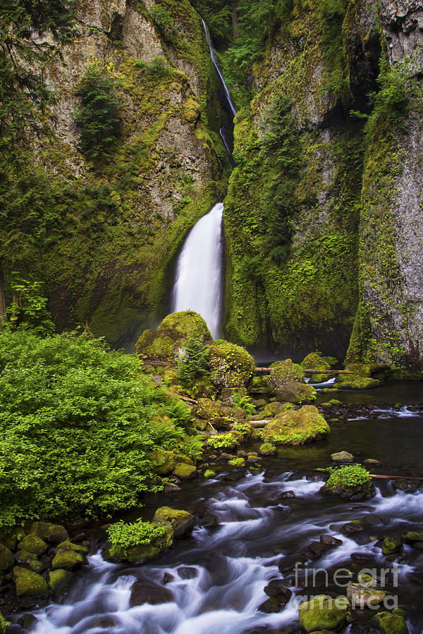Wahclella Falls Photograph by Sonya Lang
