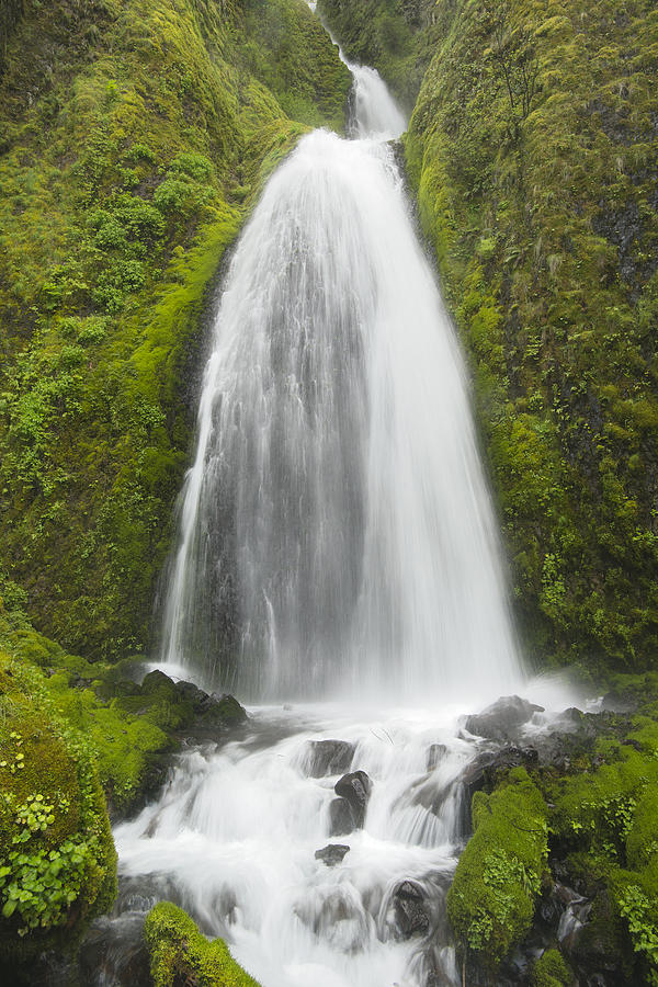 Wahkeena Falls Columbia River Gorge Photograph by Kevin Schafer