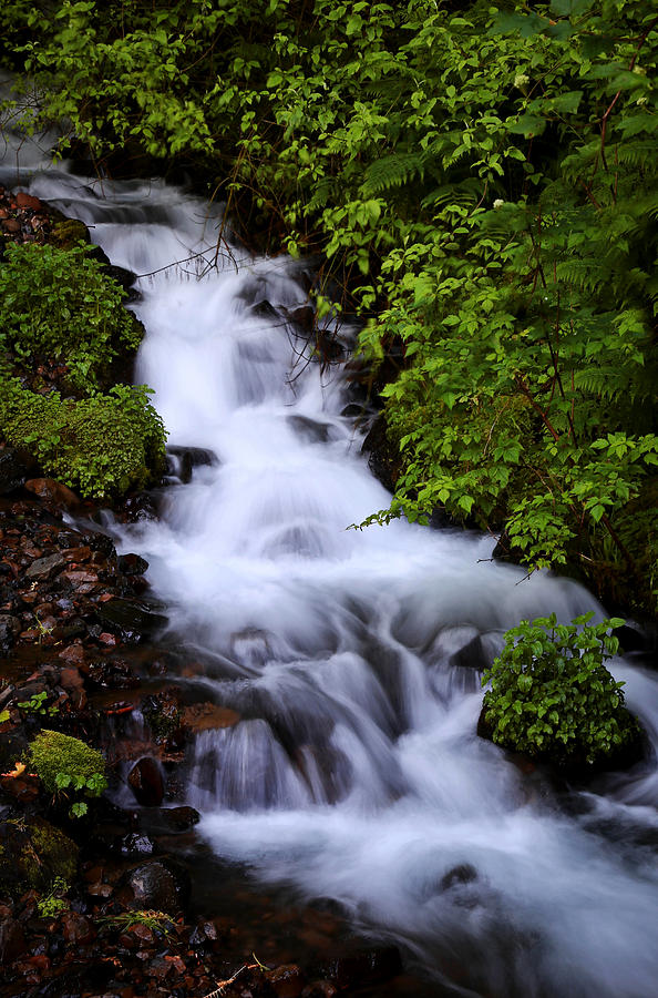 Wahkeena Falls In Oregon Photograph by Athena Mckinzie