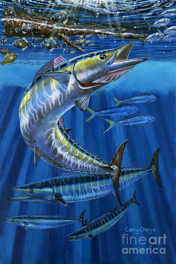 Nature Painting - Wahoo Rip Off0047 by Carey Chen