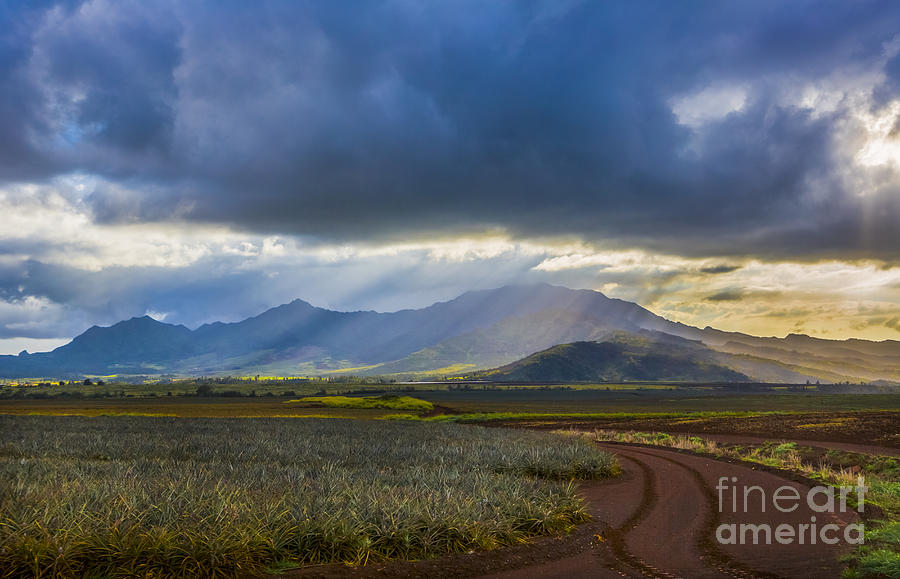 Waianae Mountains of Oahu Hawaii Photograph by Diane Diederich