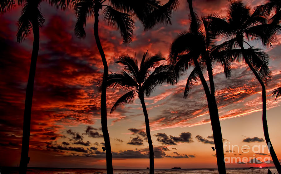 Waikiki Sunset Photograph by David Smith
