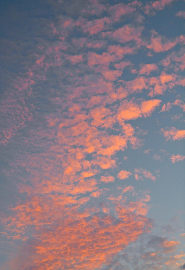 Waikiki Sunset Sky Photograph by Michele Myers