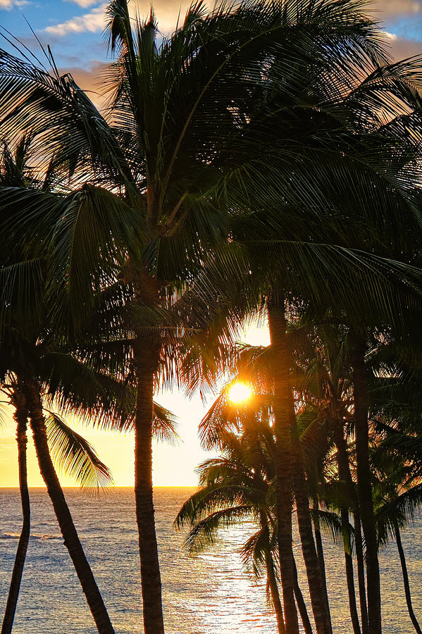 Waikoloa Palms Photograph by Lars Lentz