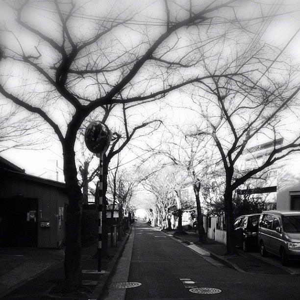 Abstract Photograph - Wail In The Street.#street #iphonesia by Saito Hironobu