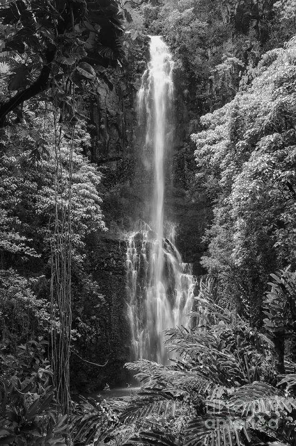 Wailua Falls 2 Photograph by Bob Phillips