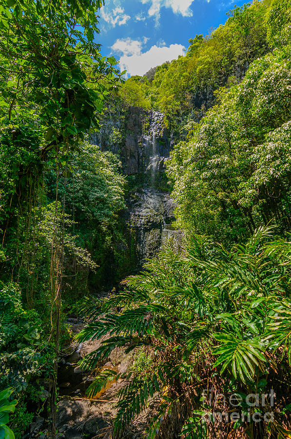 Wailua Falls in a lush tropical valley Maui Hawaii USA Photograph by Don Landwehrle