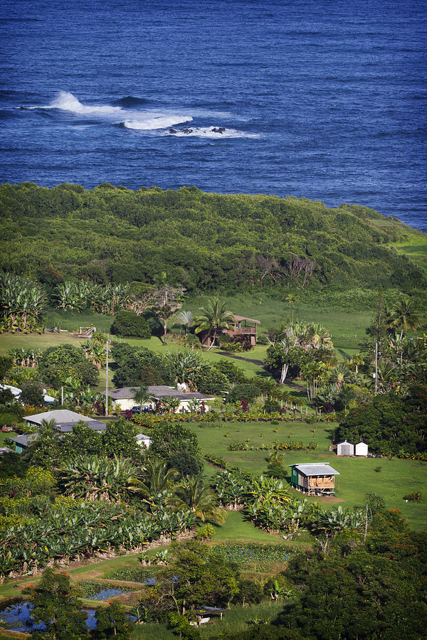 Wailua Village 1 Photograph by The Ecotone - Fine Art America