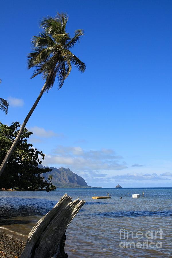 Waimanalo Beach  Photograph by DJ Florek