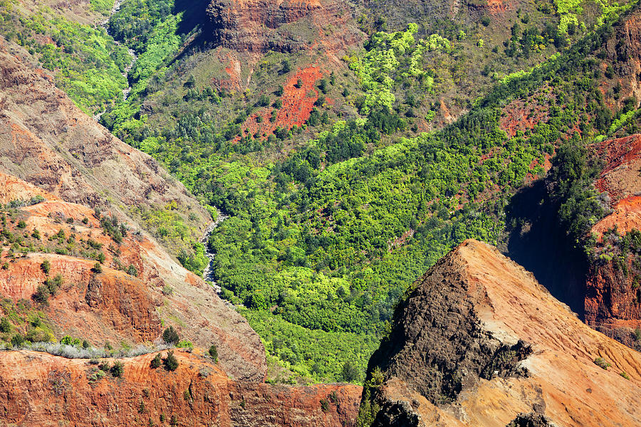 Waimea Canyon Sidearm, Kauai Photograph by Michaelutech