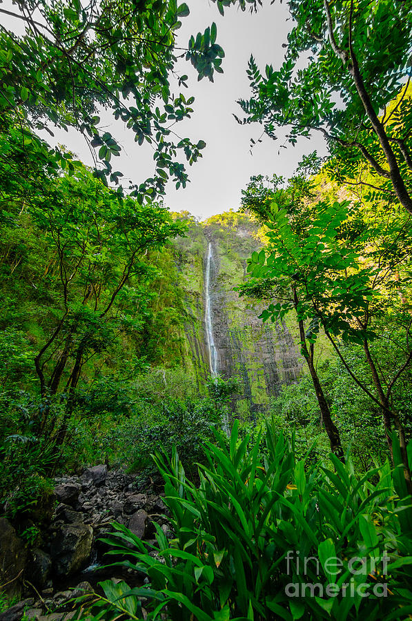Waimoku Falls on The Road to Hana Maui Hawaii USA Photograph by Don Landwehrle