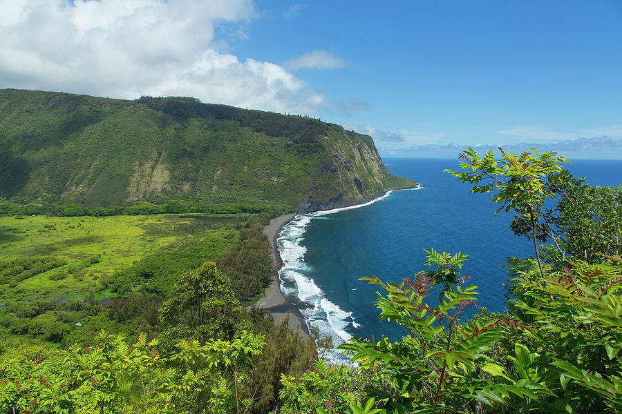 Waipio Valley, Hamakua Coast, Big Photograph by Danita Delimont