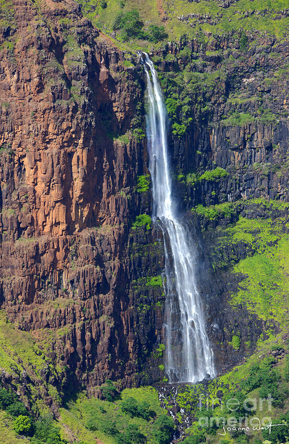 Waipoo Falls Kauai Photograph by Joanne West