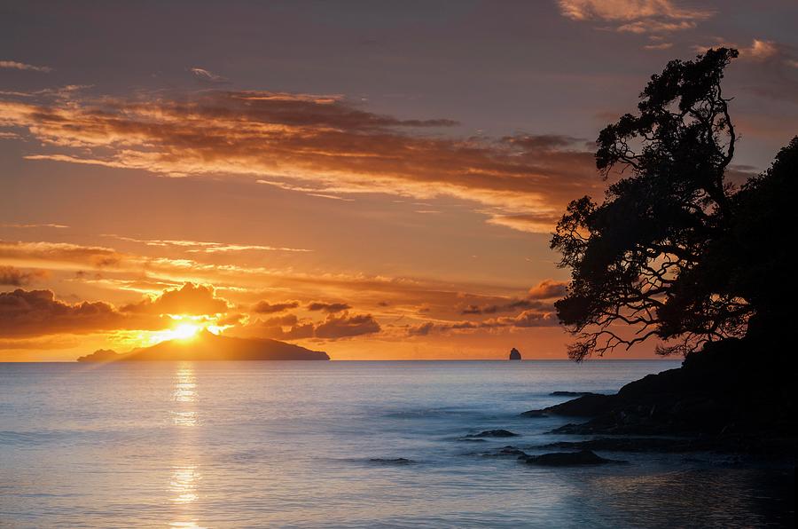 Waipu Cove Sunrise Behind Taranga Island by Robin Bush