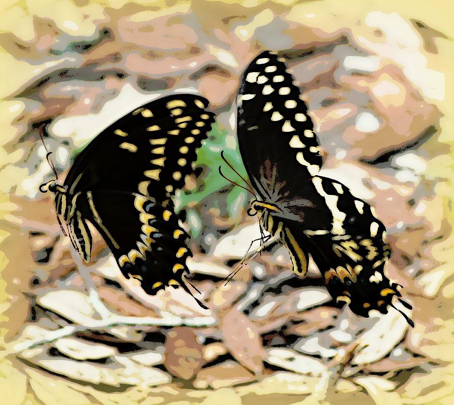 Wait for Me Butterfly 1 Photograph by Sheri McLeroy