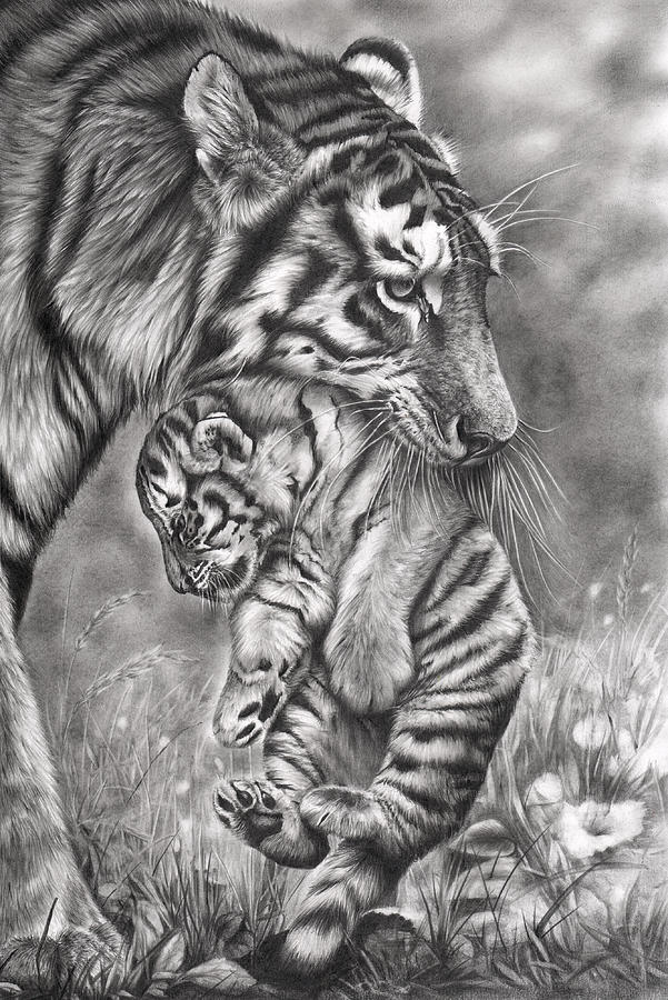 Wildlife Drawing - Wait Til Your Father Gets Home by Peter Williams