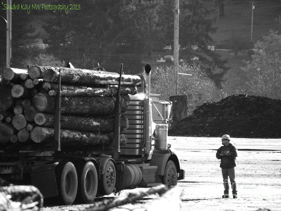 Oregon Photograph - Waitin To Be Unloaded by Sandra Wyckoff