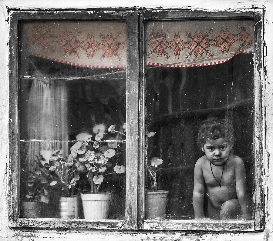 Flower Photograph - Waiting 2 by Ovidiu Caragea