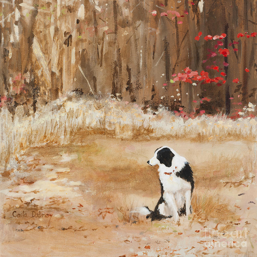 Border Collie Painting - Waiting at Woods Edge by Carla Dabney Border Collie Painting - Waiting at Woods Edge by Carla Dabney
