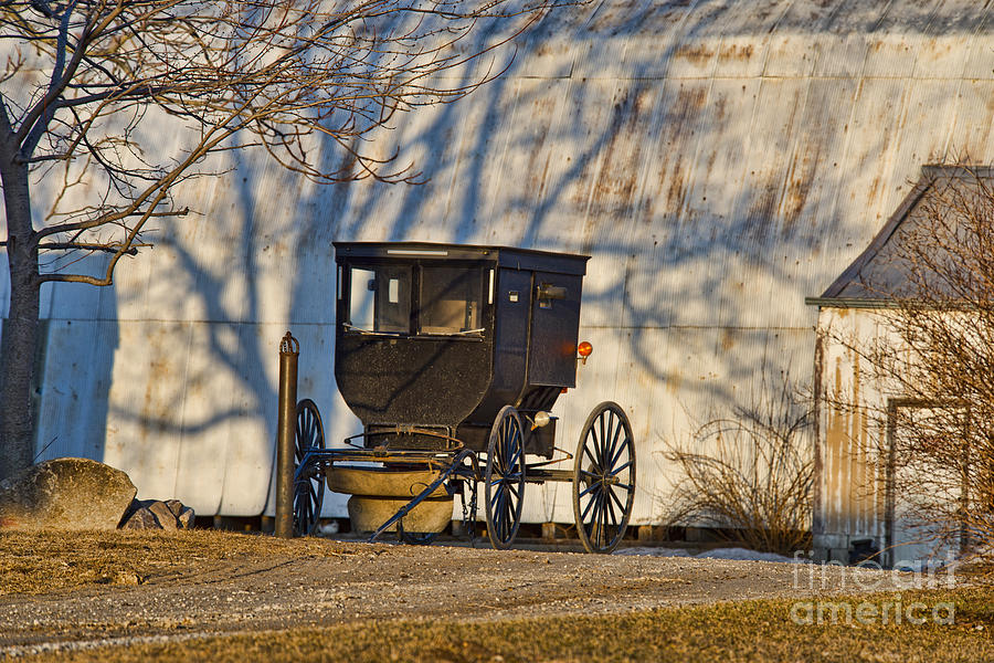 Amish Buggy Photograph - Waiting Buggy by David Arment