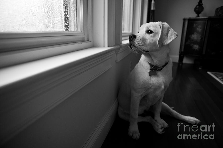 Black And White Photograph - Waiting by Diane Diederich