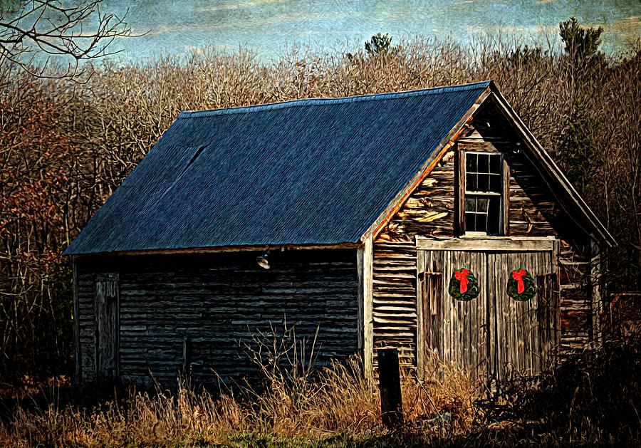 Nature Photograph - Waiting For Christmas by Tricia Marchlik