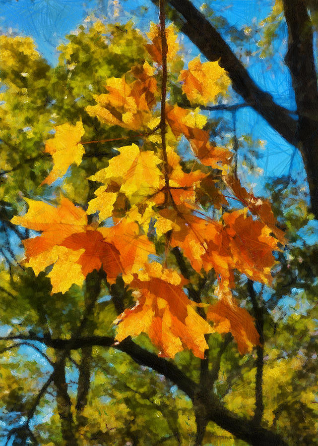 Waiting For Fall by Michael Flood Waiting For Fall by Michael Flood
