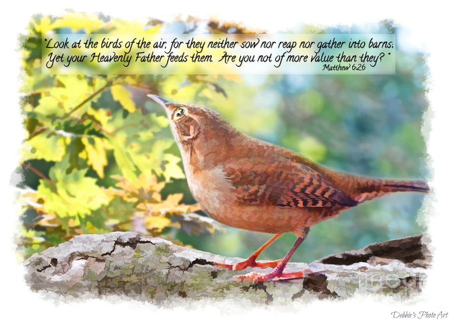 Waiting For My Father - House Wren with Verse Photograph by Debbie Portwood