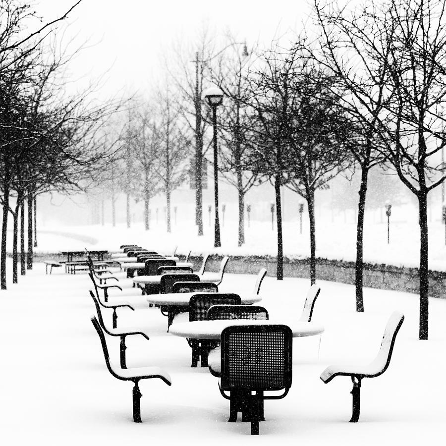 Winter Photograph - Waiting for Summer in Columbus by Dick Wood