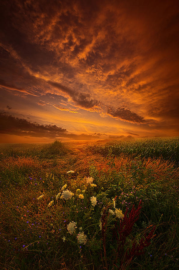 Nature Photograph - Waiting for the Day to Begin by Phil Koch