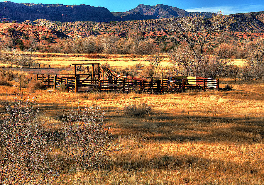 Waiting For The Herd by Chuck Summers Waiting For The Herd by Chuck Summers