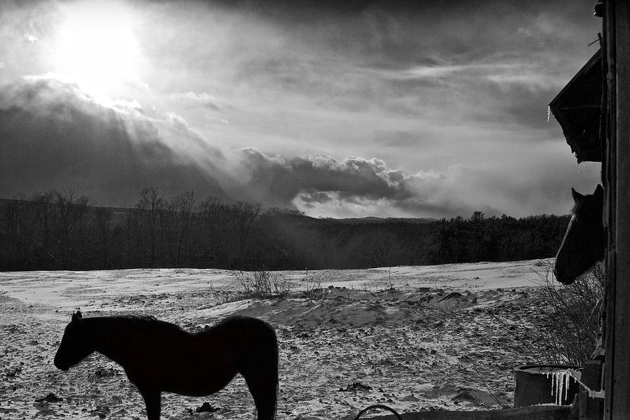 Waiting for the Setting Photograph by Nathan Larson | Fine Art America