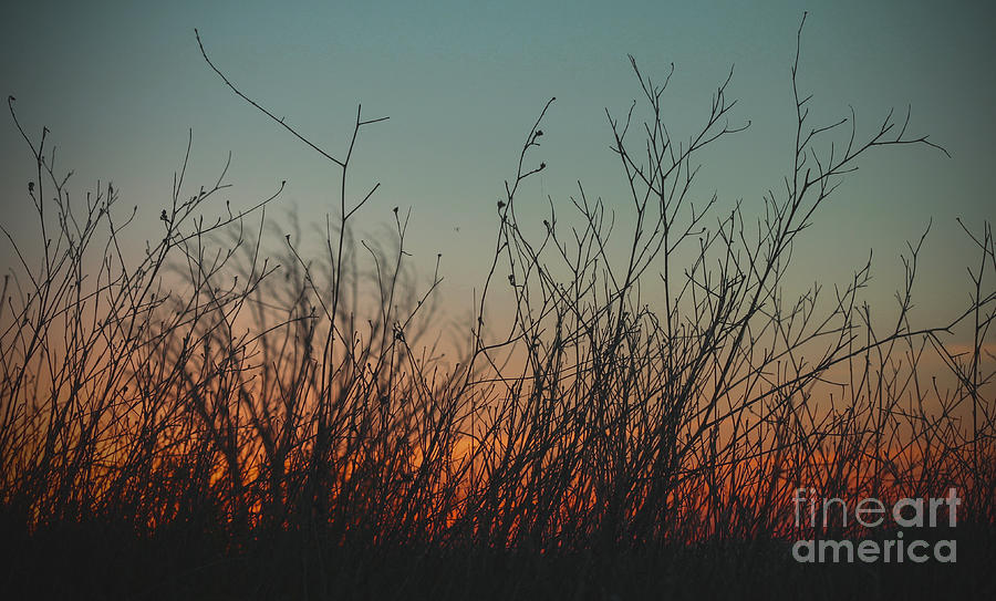 Sunset Photograph - Waiting For The Summer Rain To Fall by Jennifer Ramirez