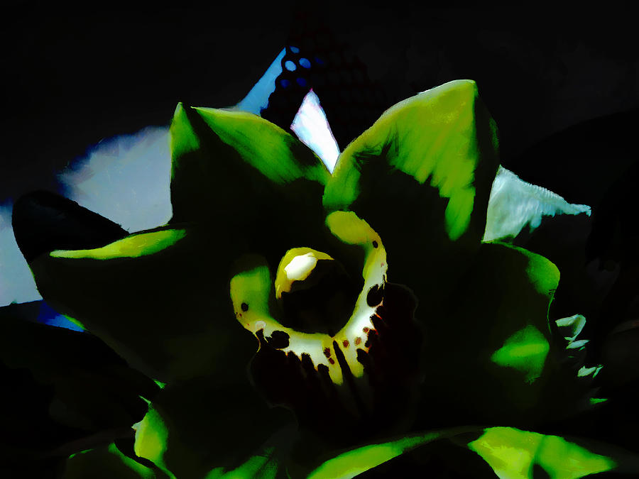 Orchid Digital Art - Waiting for the Sun to Rise by Steve Taylor