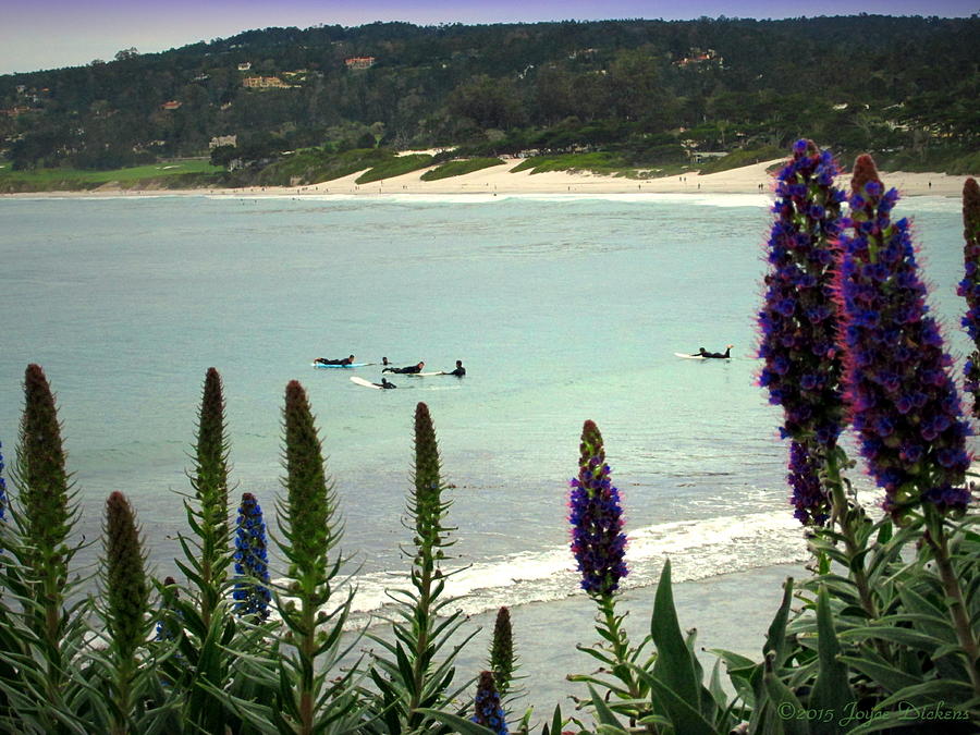 Waiting For The Waves At Carmel Beach  Photograph by Joyce Dickens