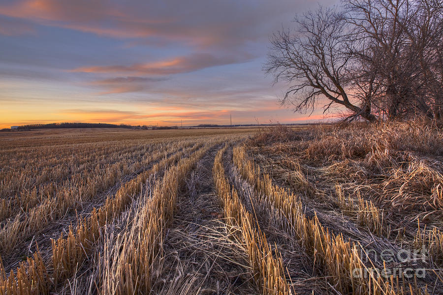 Farm Photograph - Waiting for Winter by Dan Jurak