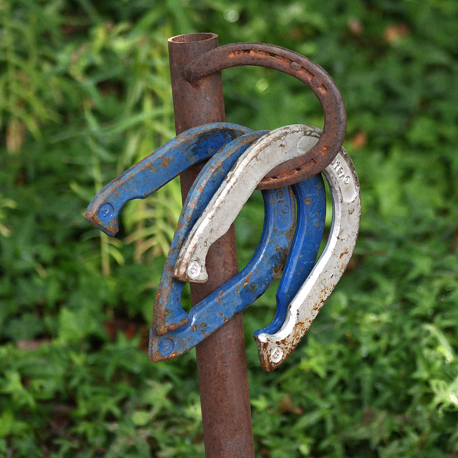 Waiting Horseshoes Photograph by Art Block Collections